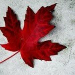 Celebrate Canada Day with Fun Facts, Trivia & 2 Classic Videos