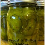 Bread & Butter Pickles ~ Recipe