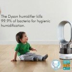 This Year, Give the Gift of Hygienic Humidification