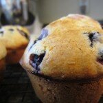 Blueberry Sour Cream Muffins ~ Recipe