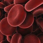 rp_blood-cells.jpg