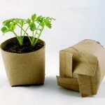 Toilet Tissue rolls for your garden? {LIVING GREEN – Tips}