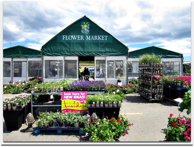 Atlantic Superstore Flower Market
