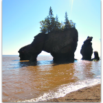 The Twisted Sisters Visit Hopewell Rocks, New Brunswick