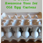 Uses for Your Old Egg Cartons