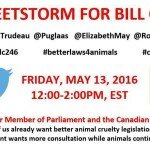 Tweetstorm for Bill C-246 to Support Better Animal Cruelty Legislation