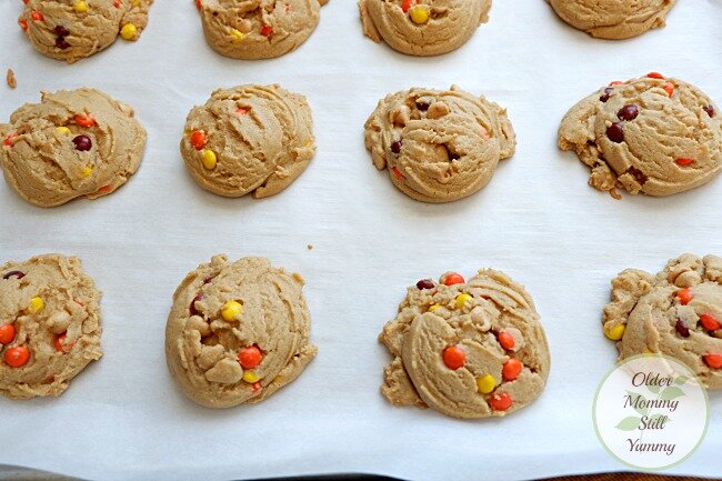 Double Chip Peanut Butter Pudding Cookies